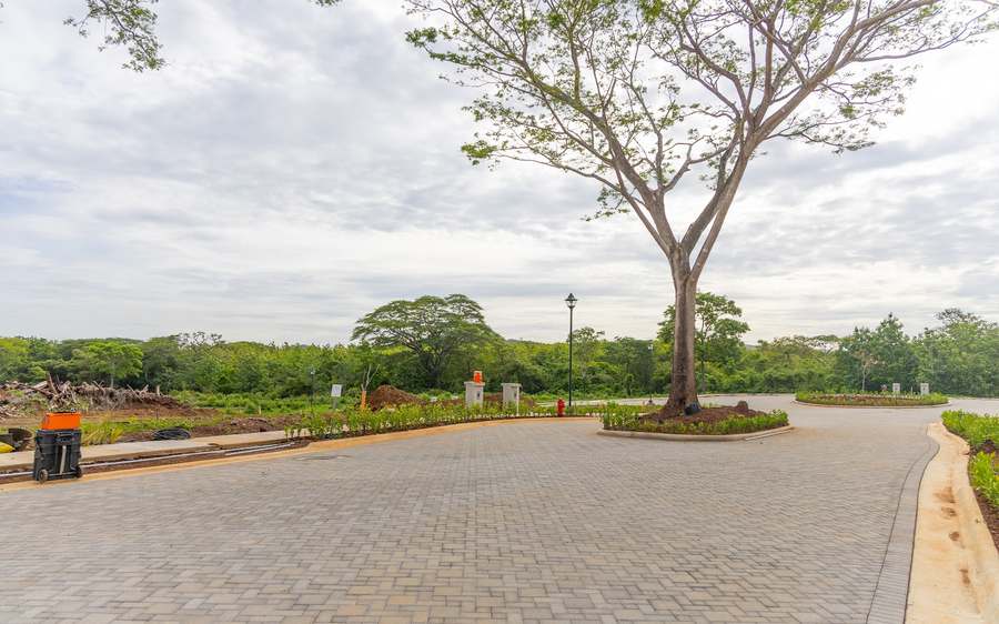 The Black Coast site at Playa Negra early in development &mdash; roads in, the land&rsquo;s mature trees kept